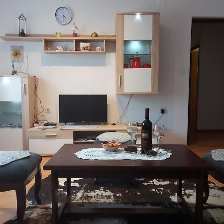 Apartman Skender 3* Ravna Gora公寓 外观 照片