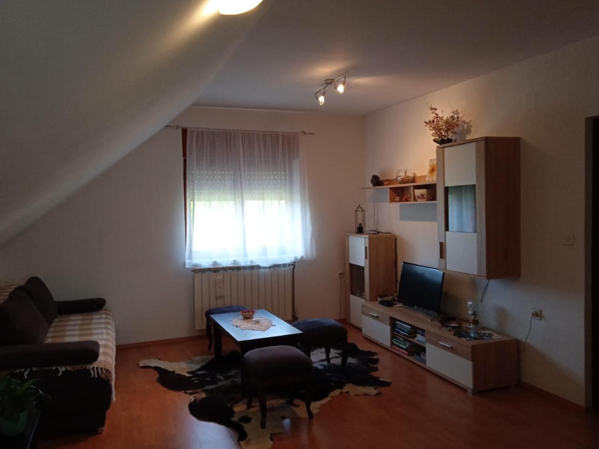 Apartman Skender 3* Ravna Gora公寓 外观 照片