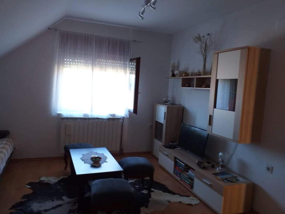 Apartman Skender 3* Ravna Gora公寓 外观 照片