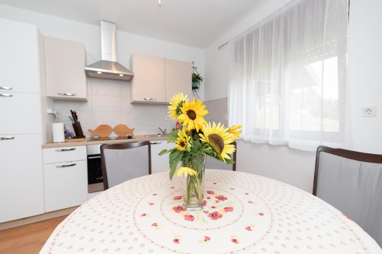Apartman Skender 3* Ravna Gora公寓 外观 照片