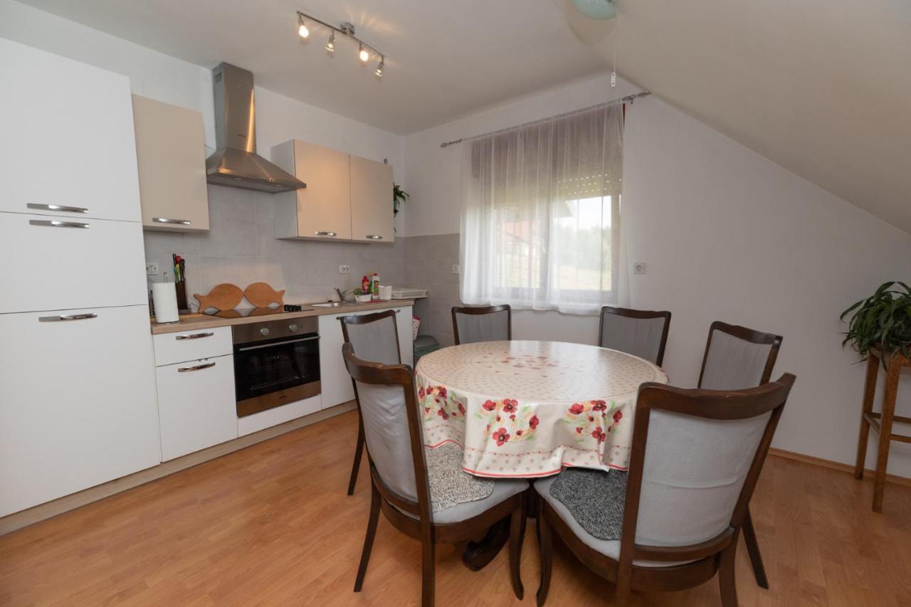 Apartman Skender 3* Ravna Gora公寓 外观 照片