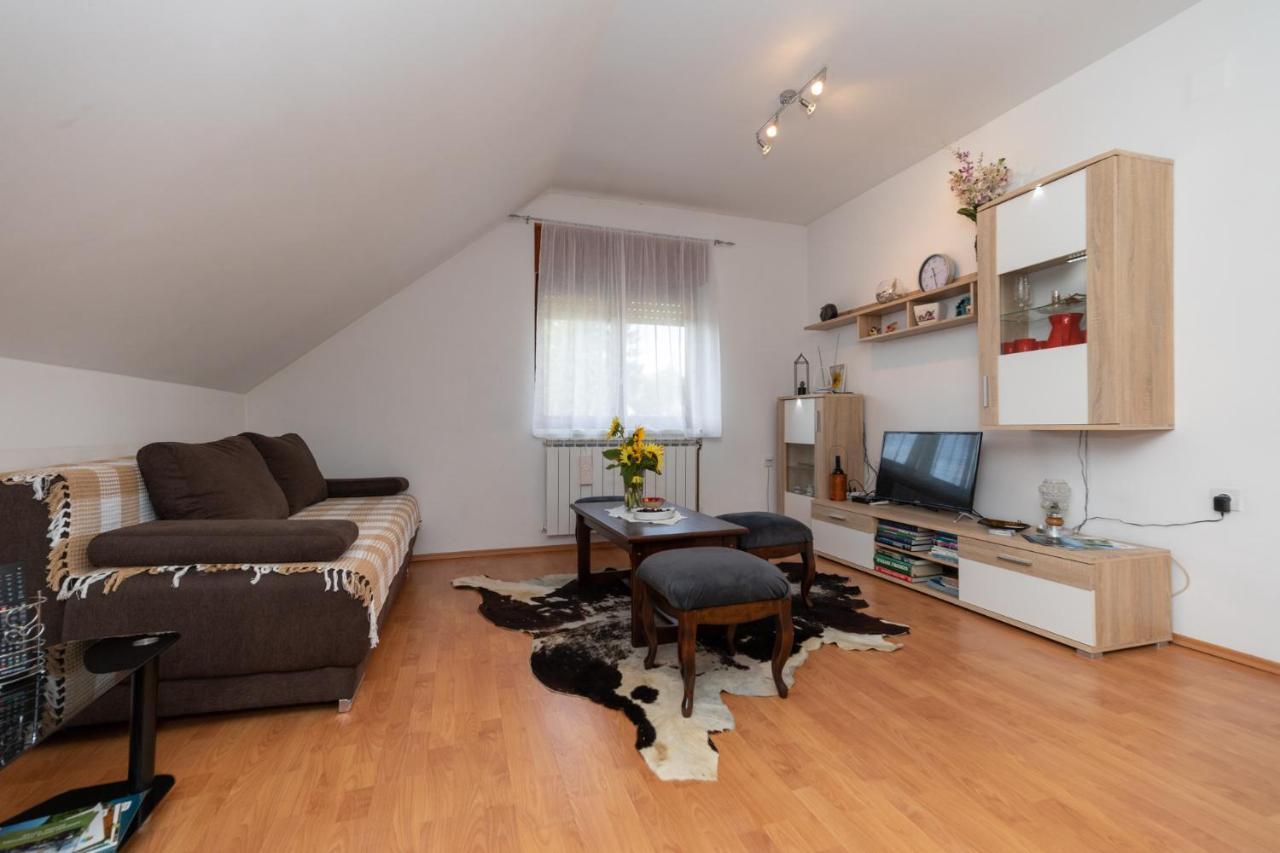 Apartman Skender 3* Ravna Gora公寓 外观 照片