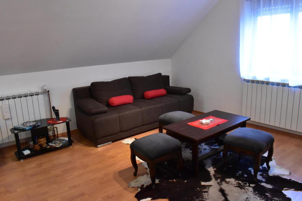 Apartman Skender 3* Ravna Gora公寓 外观 照片