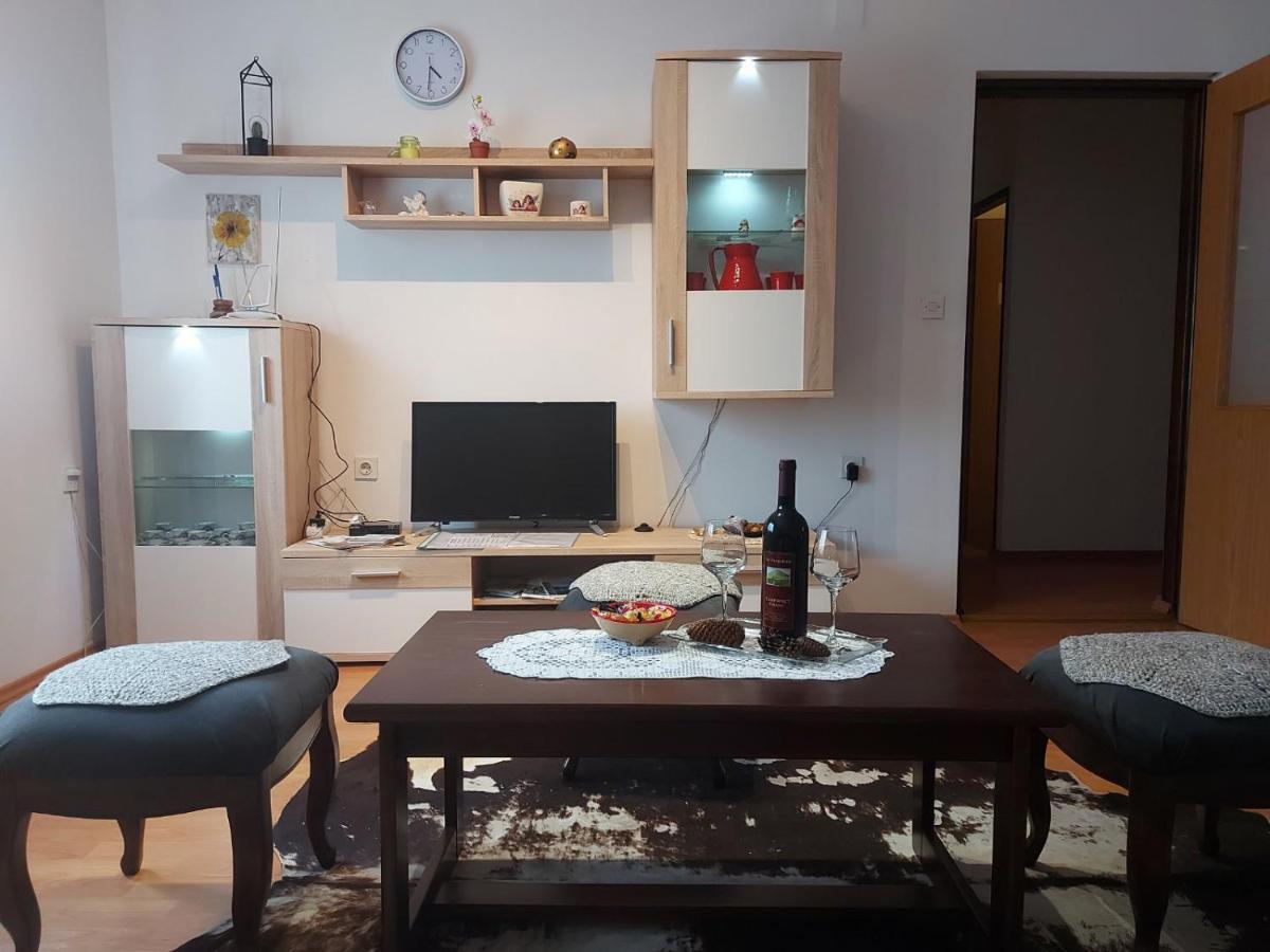 Apartman Skender 3* Ravna Gora公寓 外观 照片