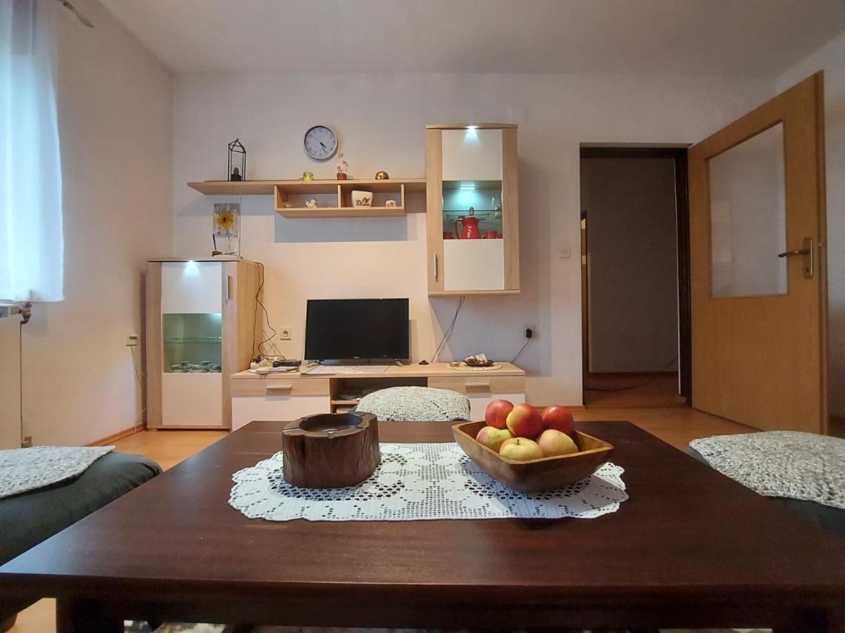 Apartman Skender 3* Ravna Gora公寓 外观 照片